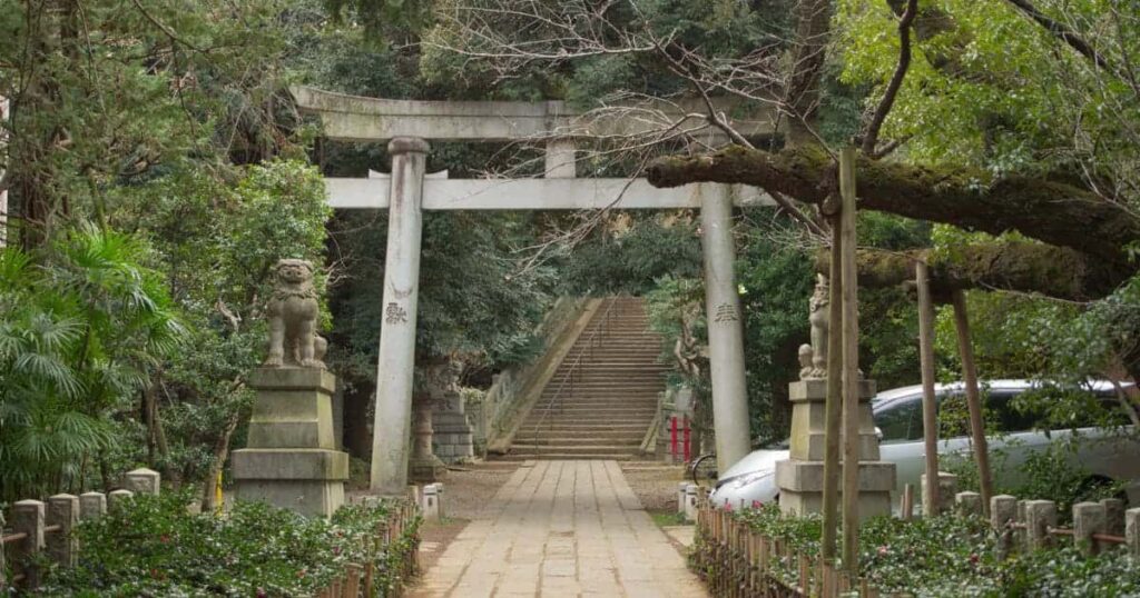 赤坂氷川神社の社殿と緑の参道—都会の静寂で金運祈願