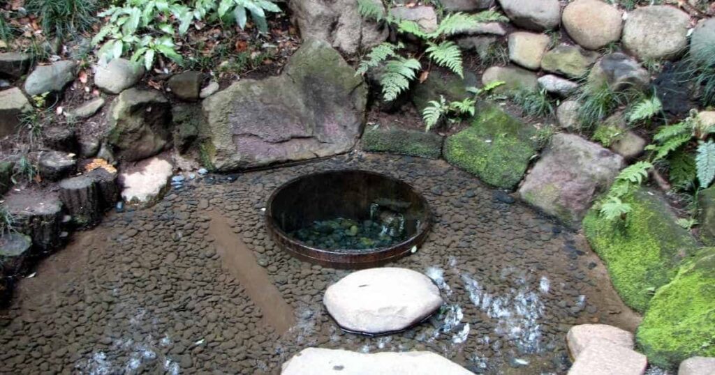 明治神宮御苑に湧く清正井の澄んだ水面