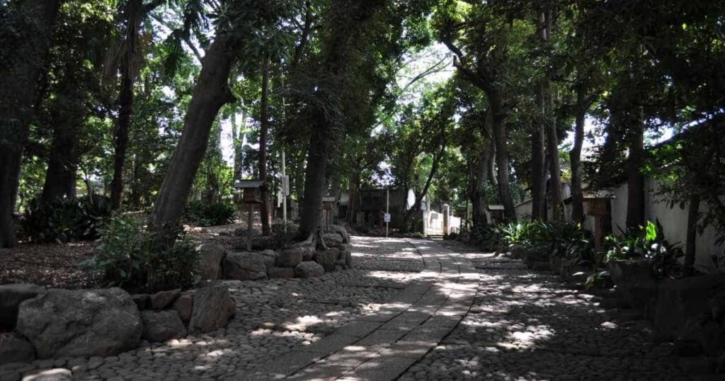 深い緑に囲まれた代々木八幡宮の本殿