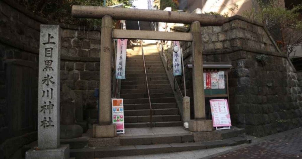 上目黒氷川神社の鳥居と石段が写っており、富士登山気分で運気アップを願うパワースポットの風景
