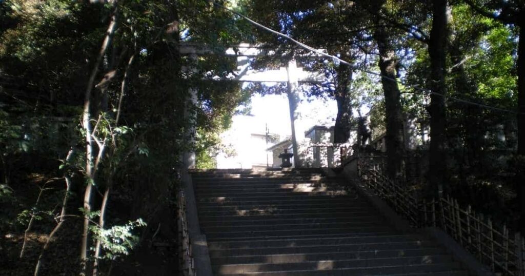 渋谷氷川神社の鳥居