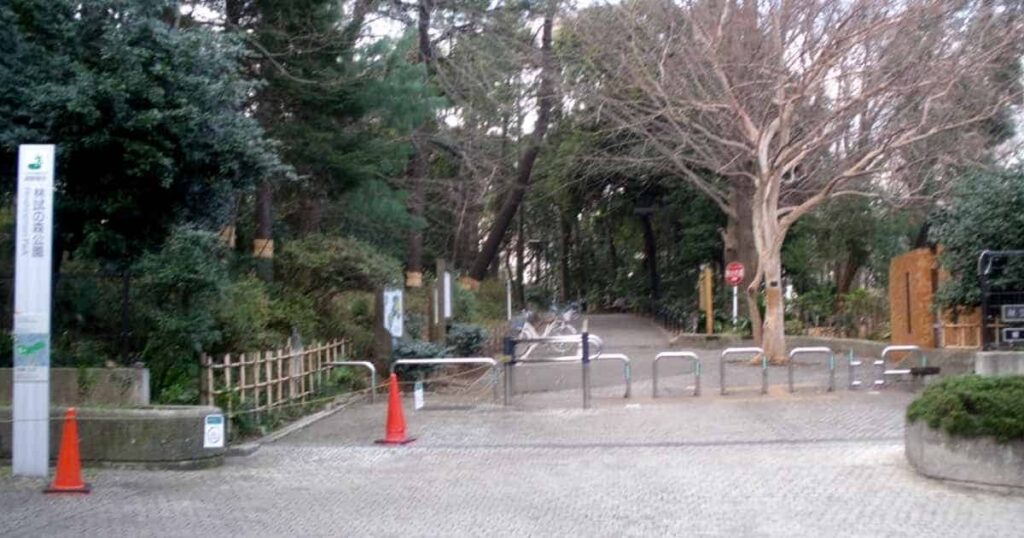林試の森公園