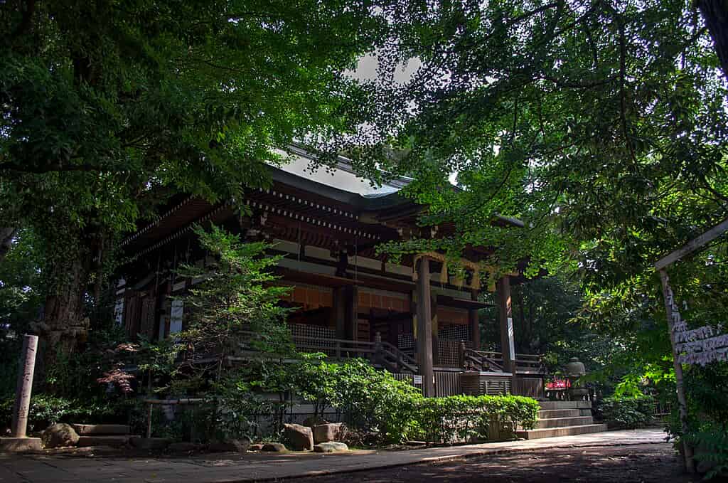 奥沢神社